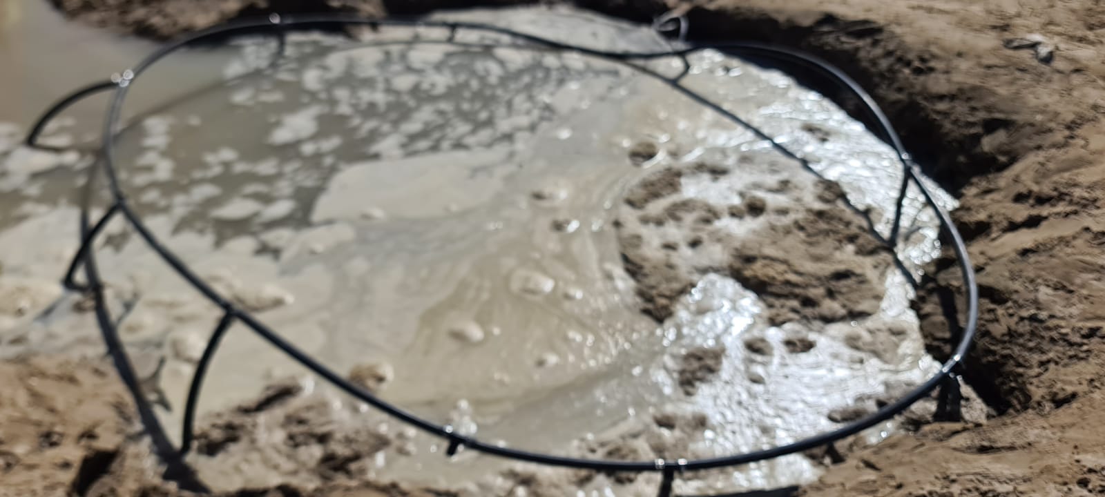 Close-up of a wellpoint ring draining silty groundwater