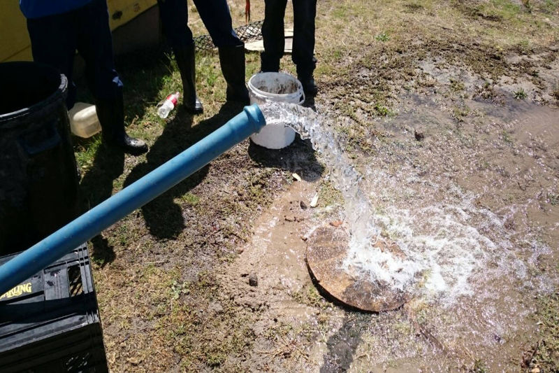 Borehole and wellpoint installation