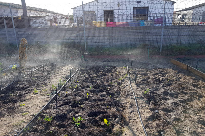 Irrigation system installation, Cape Town