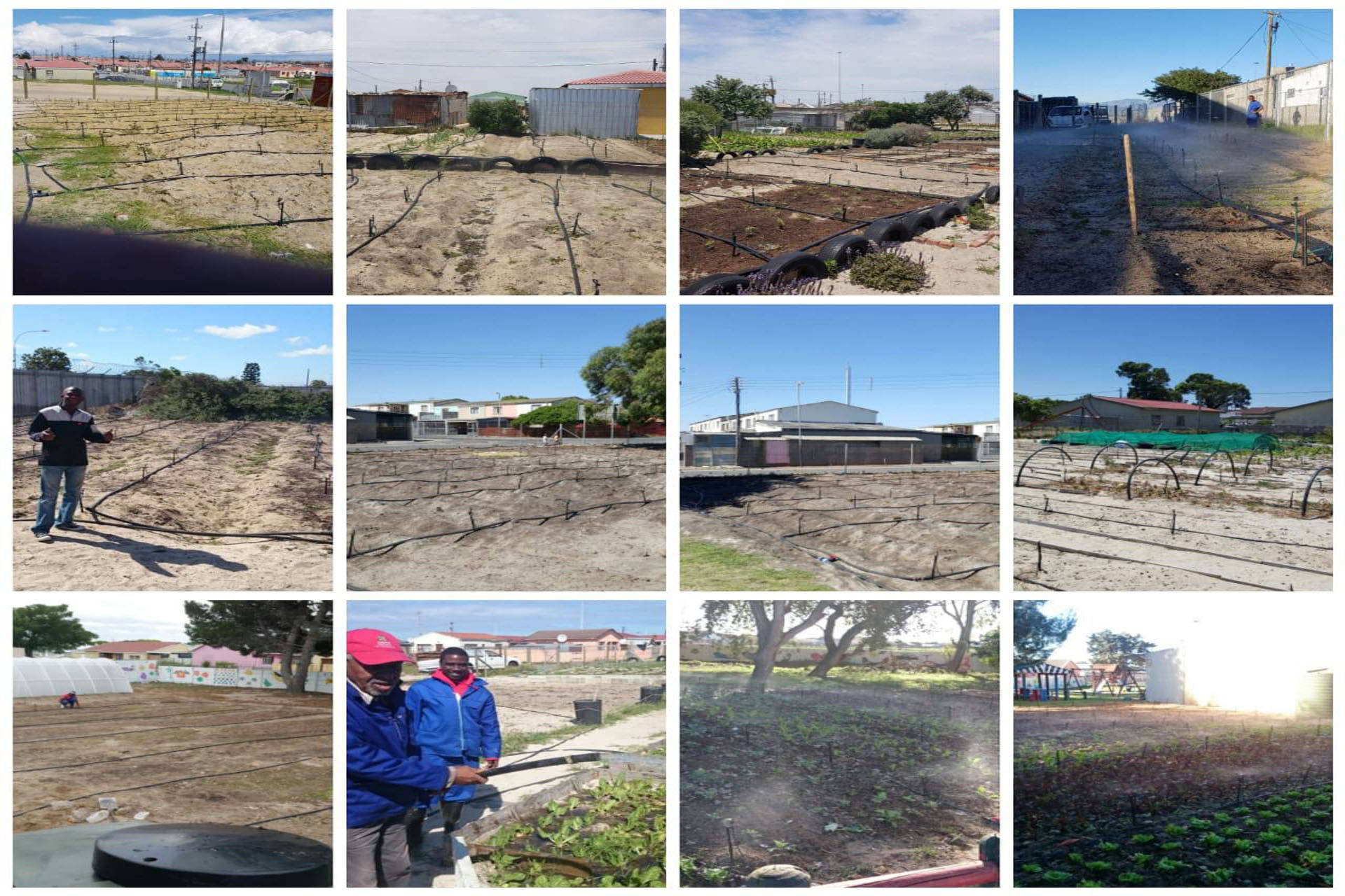 Community garden irrigation project installed by CA Wellpoints